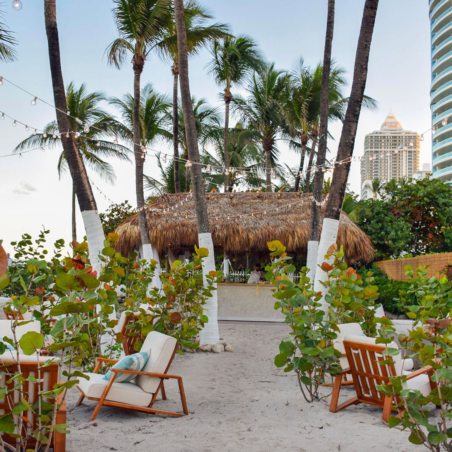 Photos of Palm House Miami Beach