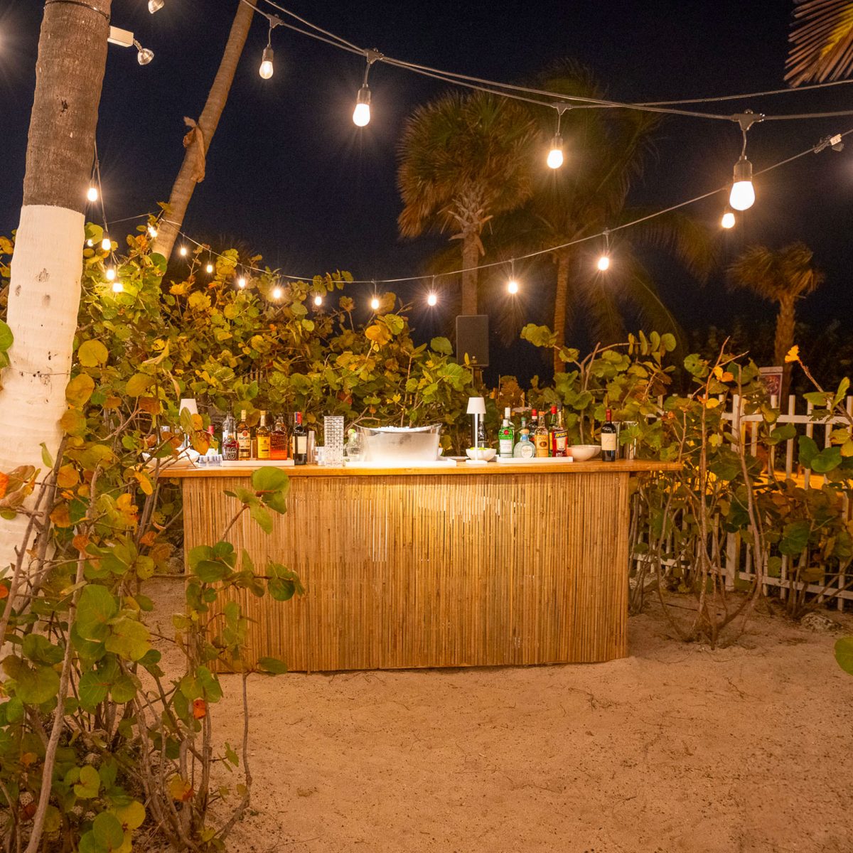 Palm House Miami Gallery: Stunning Beach Photos